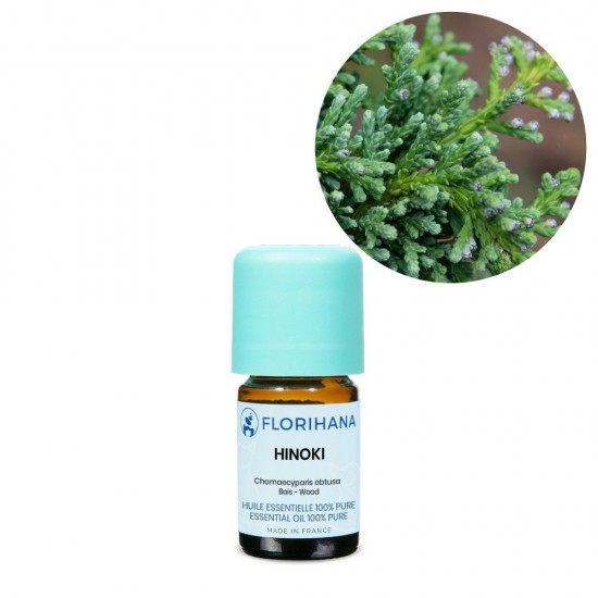 Hinoki (ヒノキ)